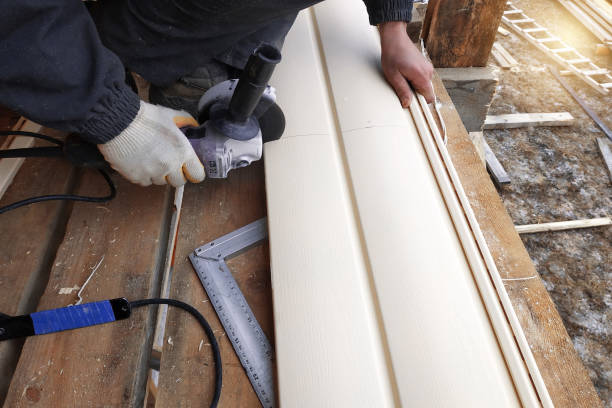 Best Custom Siding Design  in Langley, SC